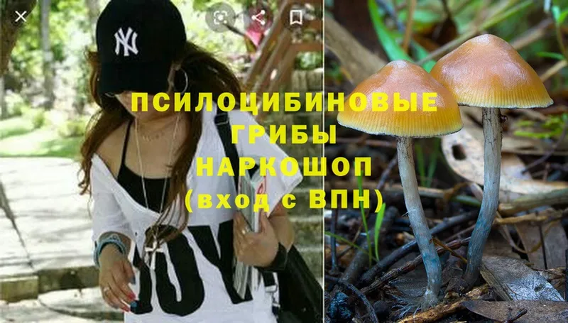 Галлюциногенные грибы Magic Shrooms  гидра   Задонск 